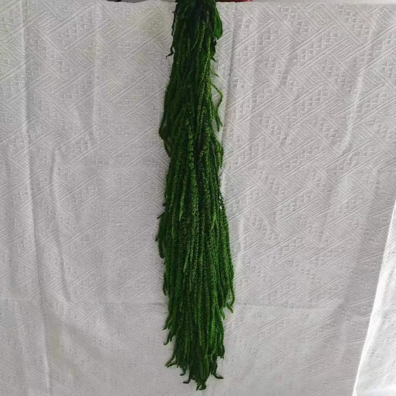Bluejw New Color Amaranth Dried Plants – Natural Preserved Hanging Amaranthus for High-Quality Wedding Bouquet & Floral Decoration - Image 1
