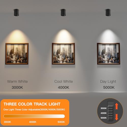 SUNMEIYI LED Dimmable Ceiling Spotlight 12W 3CCT 3000K/4000K/5000K Adjustable Indoor Directional Spotlight Fixtures for Room Living Hallway Gallery Art Light,CRI93 1200LM (Black - 12 Watts) - Image 2