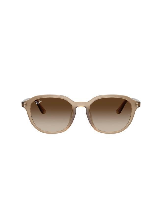 Ray-Ban 0Rb4459D Square Sunglasses - Image 2