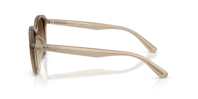 Ray-Ban 0Rb4459D Square Sunglasses