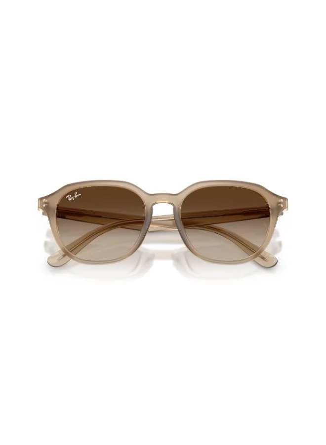 Ray-Ban  0Rb4459D Square Sunglasses  | Best Price UAE