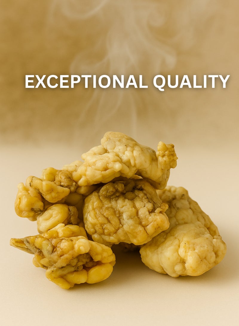 Zahr AL ZAHR Pure Raw Fasoukh – Premium Quality Natural White Resin – Hand-Sorted, Sustainably Sourced, Sun-Cured – Rich Earthy Aroma for Incense, Rituals, and Aromatherapy - Image 5