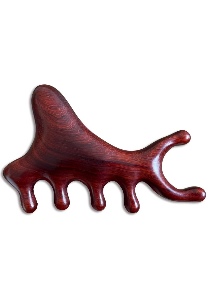 Y&D Wooden Massage Comb Shark Shaped Gua Sha Wide Tooth for Head Scalp, Facial, Body Natural Sandalwood Massager Acupressure Tools Gift Women Men - Image 1
