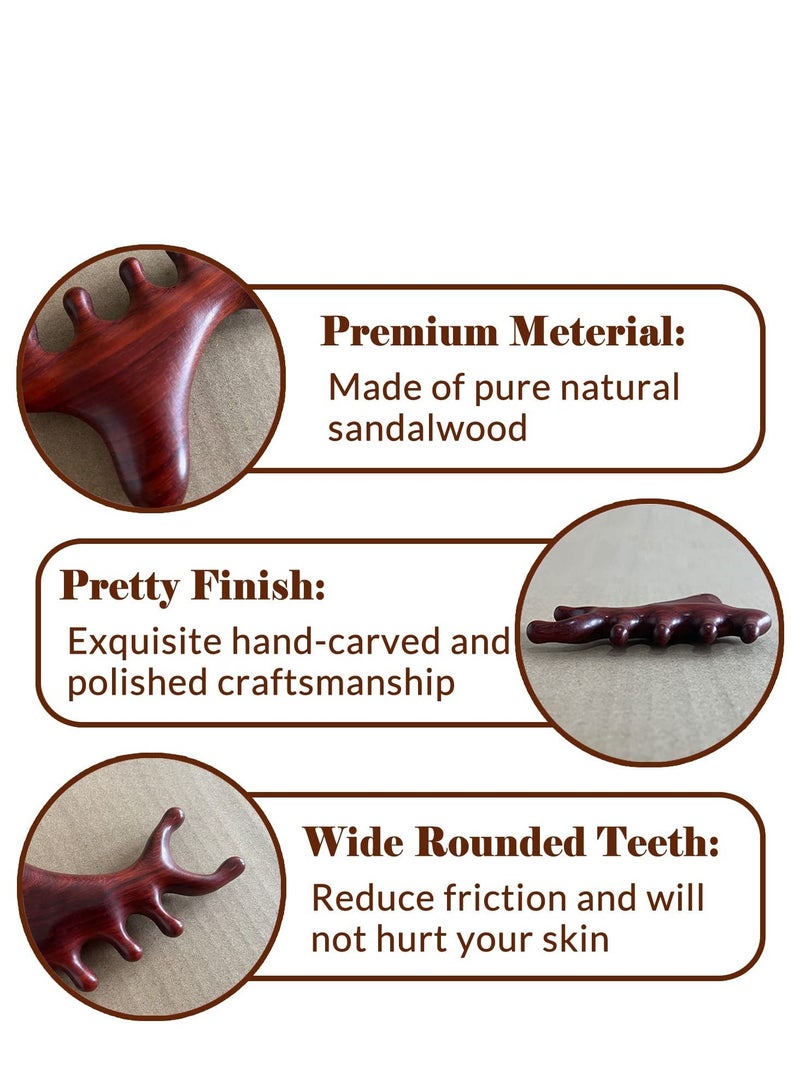 Y&D Wooden Massage Comb Shark Shaped Gua Sha Wide Tooth for Head Scalp, Facial, Body Natural Sandalwood Massager Acupressure Tools Gift Women Men - Image 4