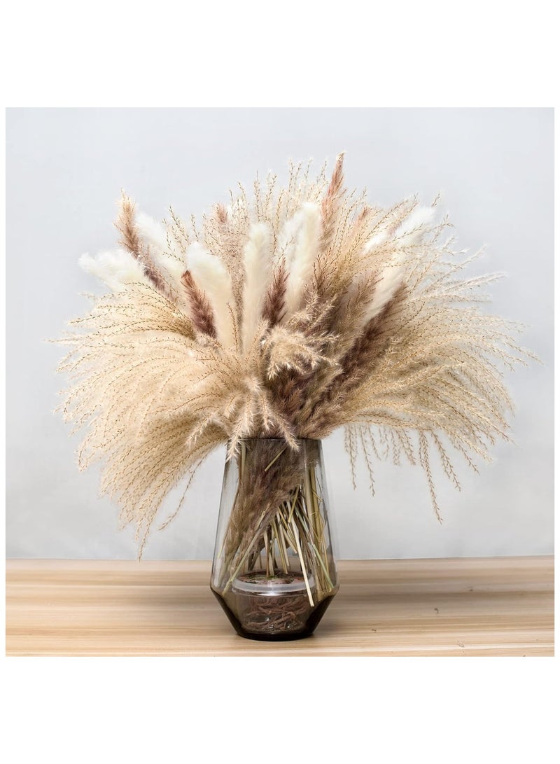 YelaJoy Natural Dried Pampas Grass Bouquet : Brown White Reed Pampas Floral Arrangements Decorations for Home Room Office Party Decor (60PCS) - Image 1