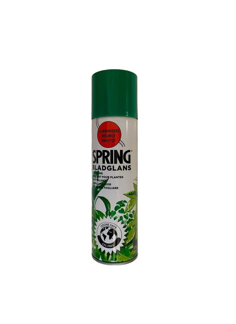 SPRING Indoor Plant Leafshine 