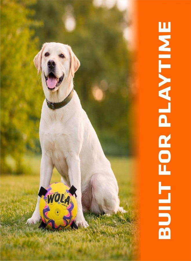 Wasan WOLA Multi Tab Dog Ball for Big/Grown-up Dogs I Suitable for Indoor & Outdoor Play I Interactive Ball with Grab Tabs I Diameter 19 cm, Pump Included - Image 4