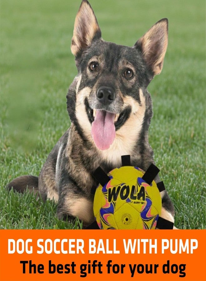 Wasan WOLA Multi Tab Dog Ball for Big/Grown-up Dogs I Suitable for Indoor & Outdoor Play I Interactive Ball with Grab Tabs I Diameter 19 cm, Pump Included - Image 5