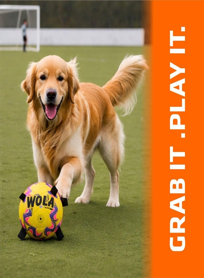 Wasan WOLA Multi Tab Dog Ball for Big/Grown-up Dogs I Suitable for Indoor & Outdoor Play I Interactive Ball with Grab Tabs I Diameter 19 cm, Pump Included - Image 3