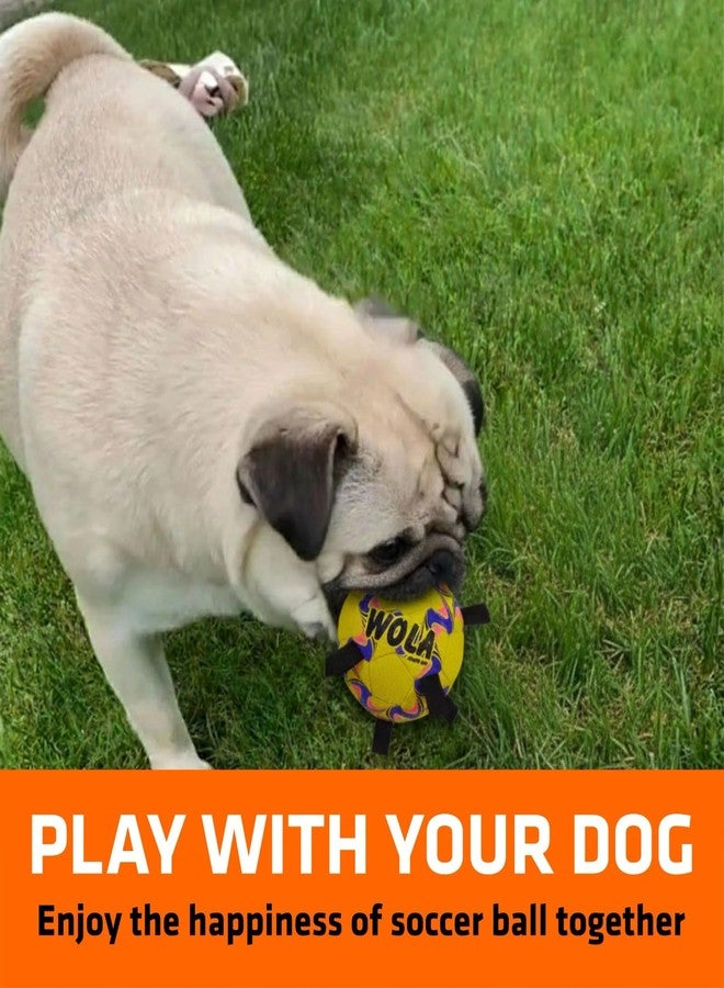 Wasan WOLA Multi Tab Dog Ball for Big/Grown-up Dogs I Suitable for Indoor & Outdoor Play I Interactive Ball with Grab Tabs I Diameter 19 cm, Pump Included - Image 2