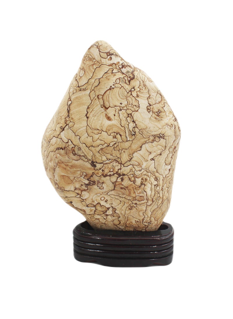Antique Museum Natural Wood Grain Stone With Wooden Base 25 X 16 CM  - Image 1