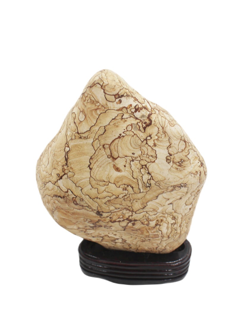 Antique Museum Natural Wood Grain Stone With Wooden Base 25 X 16 CM  - Image 3