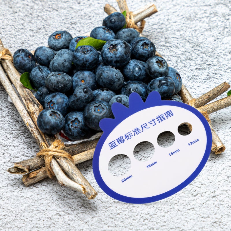 📦 بطاقة قياس التوت للتصنيف الفعال تصميم قوي مناسب للاستخدام الزراعي - Image 3