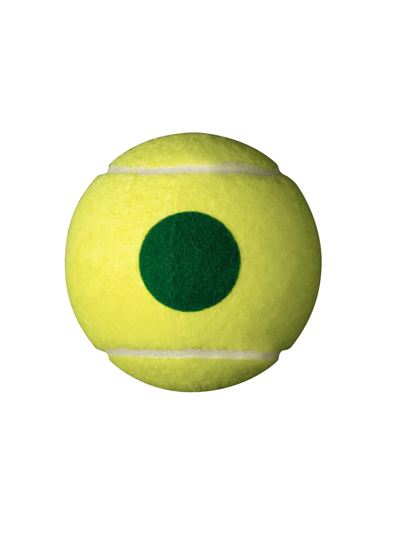 Wilson Starter Green Tennis For Junior or Adult Beginners -  4 Ball Can