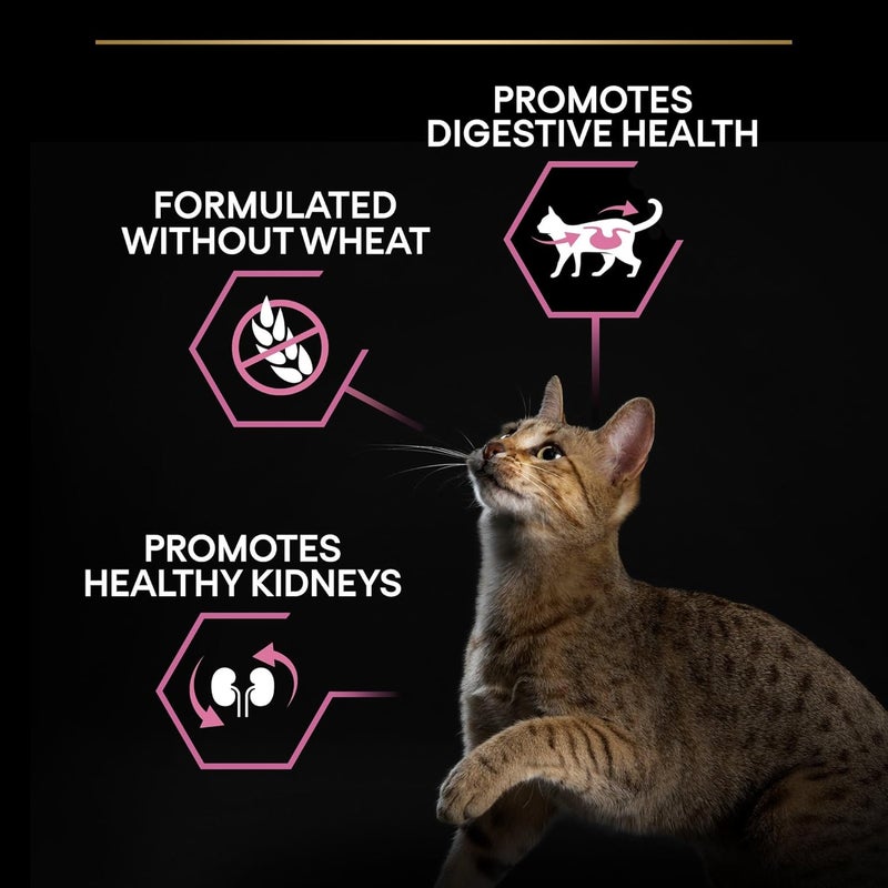 Purina Pro Plan Adult Delicate Digestion Dry Cat Food with Turkey, 400g - Image 4