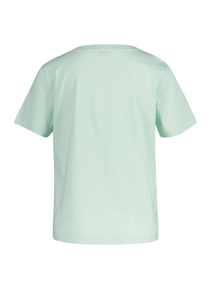 GANT Gant Regular Shield Ss V-Neck T-Shirt