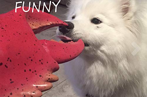 Valentoria Funny Lobster Crab Claws Gloves Paint Hands Weapon Cospaly Halloween Toy Dress Up Costume Party Pretend Play Game Props - Image 5
