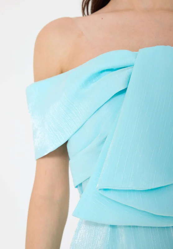 Amri Beautiful Organza Off-Shoulder Cold Shoulder Sleeve A-Line Dress With Drape Details On The Body