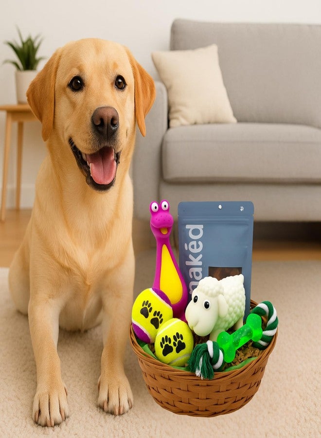 JOICE GIFT Dog Gift Basket with Assorted Toys – Includes Squeaky Plush, Tennis Balls, Rope Toy & Treats – Perfect for Small to Medium Dogs – Fun and Durable Playtime Set - Image 2