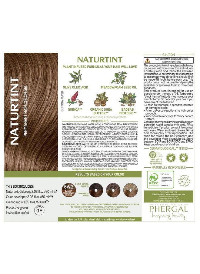 NATURTINT Permanent Hair Color 6Wg Radiant Golden Dark Blonde (Pack Of 1) Ammonia Free Vegan Cruelty Free Up To 100% Gray Coverage Long Lasting Results (Packaging May Vary)  - Image 4