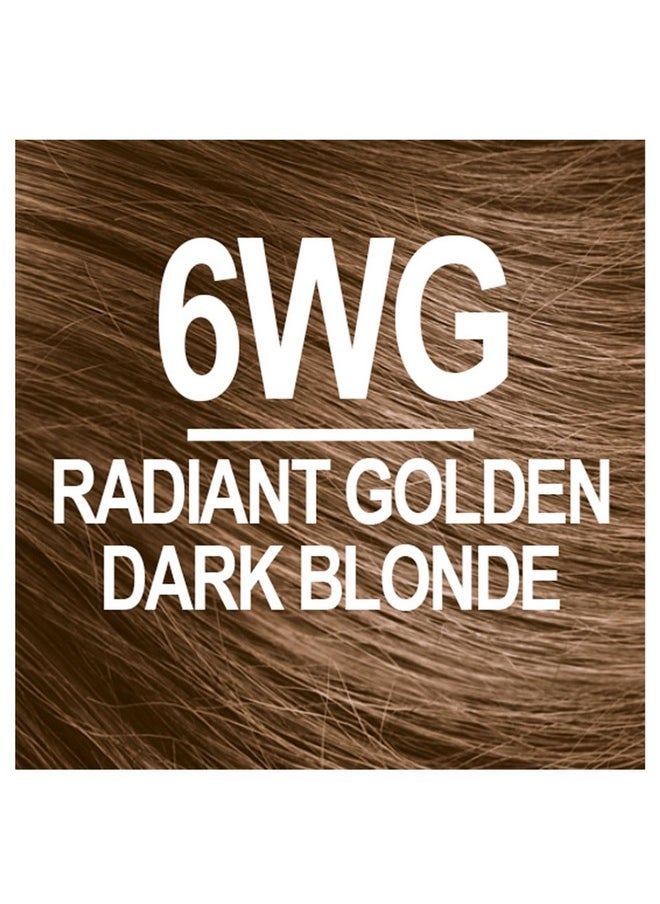 NATURTINT Permanent Hair Color 6Wg Radiant Golden Dark Blonde (Pack Of 1) Ammonia Free Vegan Cruelty Free Up To 100% Gray Coverage Long Lasting Results (Packaging May Vary)  - Image 2
