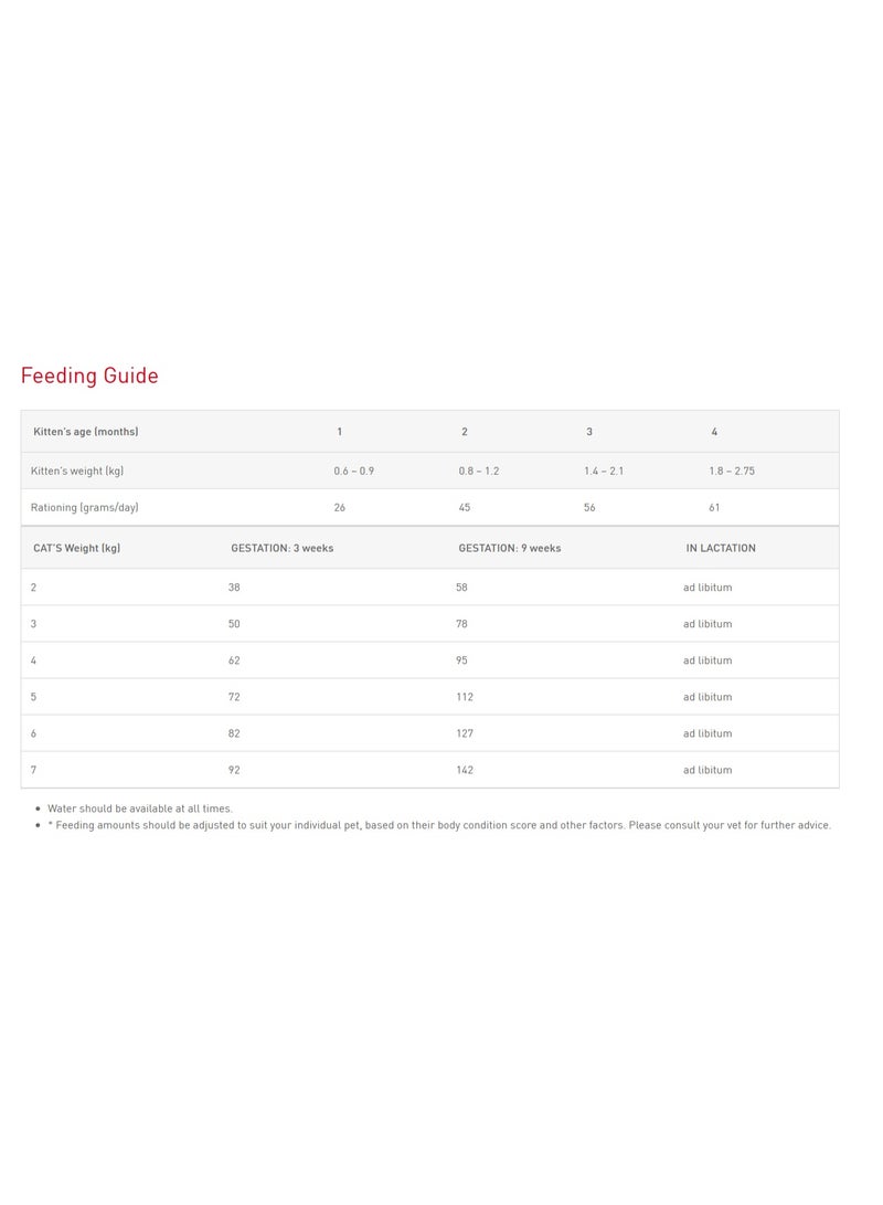 رويال كانين، قطة أم وطفلها من عمر شهر إلى أربعة أشهر - Image 3