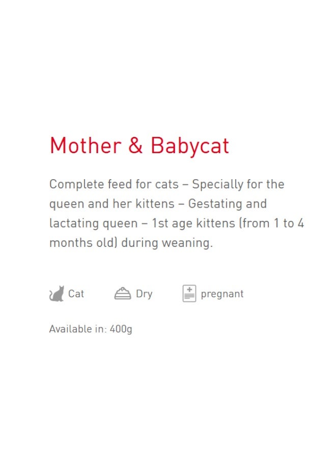 رويال كانين، قطة أم وطفلها من عمر شهر إلى أربعة أشهر - Image 4