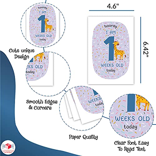 WOBBOX Baby Monthly Milestone Cards, Animal Pastel Colour, Record 0-12 Months Growth Milestones Cards, Baby Shower Gift Scrapbook Photo Keepsake Monthly Age Markers Card - Set of 18 Pieces - Image 3