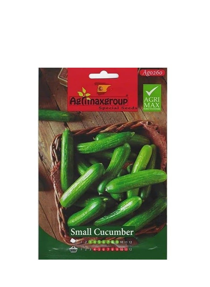Agrimax Small Cucumber Premium Quality Seeds by Agrimaxgroup® - Image 1