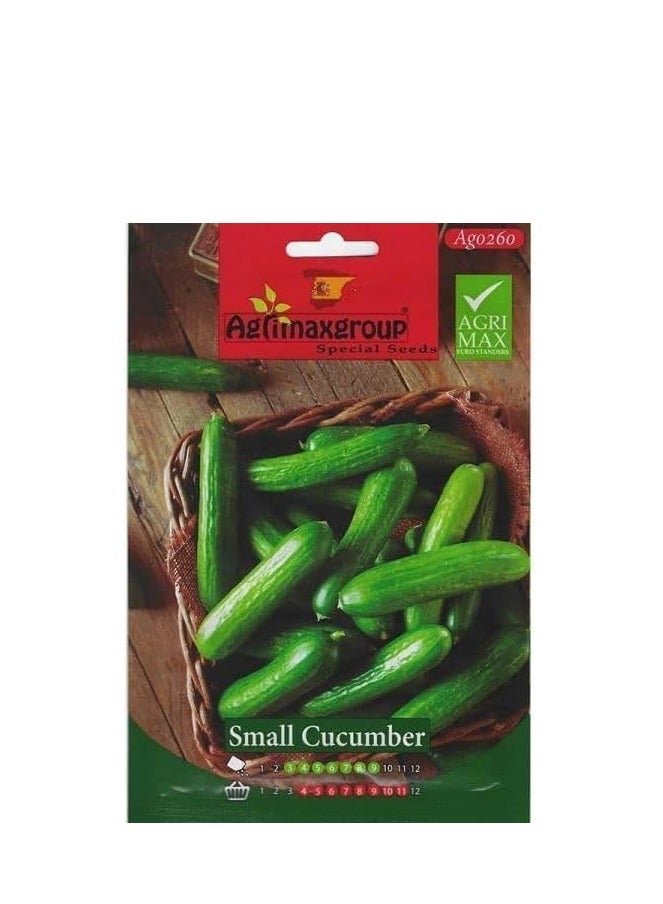 Agrimax Small Cucumber Premium Quality Seeds by Agrimaxgroup® - Image 2