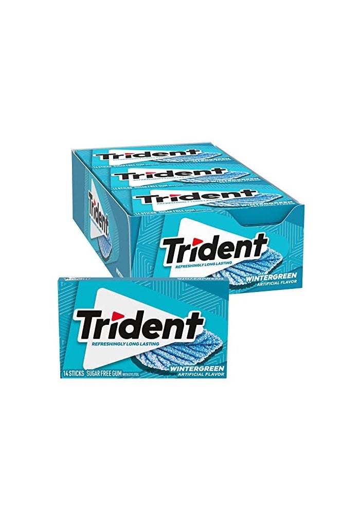 Trident Wintergreen SugarFree Chewing Gum 12 Packs of 14 Pieces 168 Total Pieces - Image 1