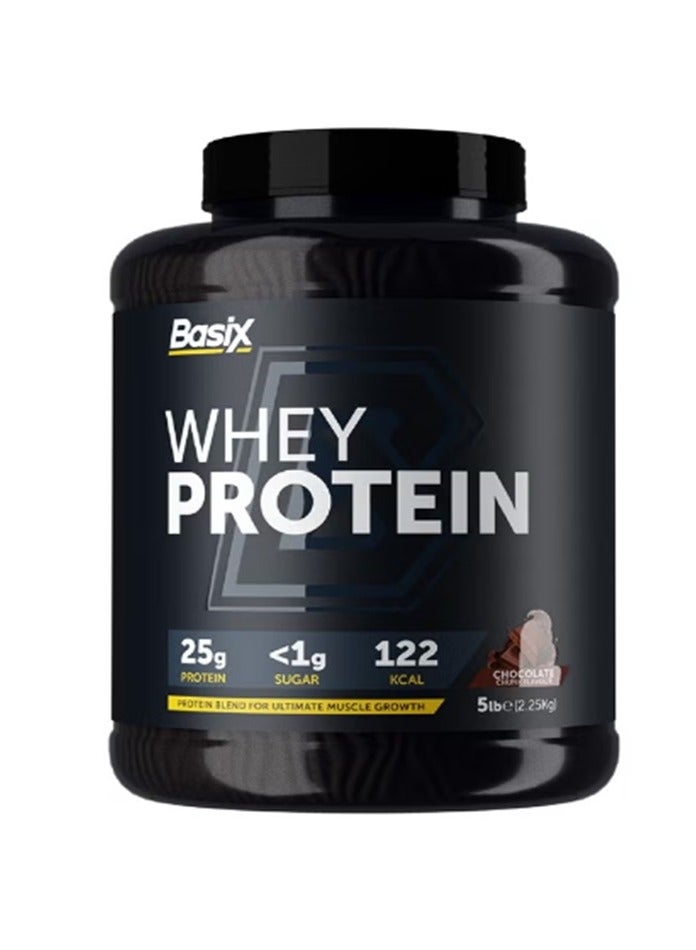 Basix Whey Protein Chocolate Chunk 5 Lb
