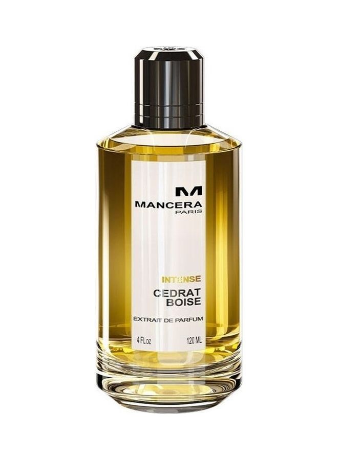 Mancera Intense Cedrat Boise EDP 125ml - Image 1