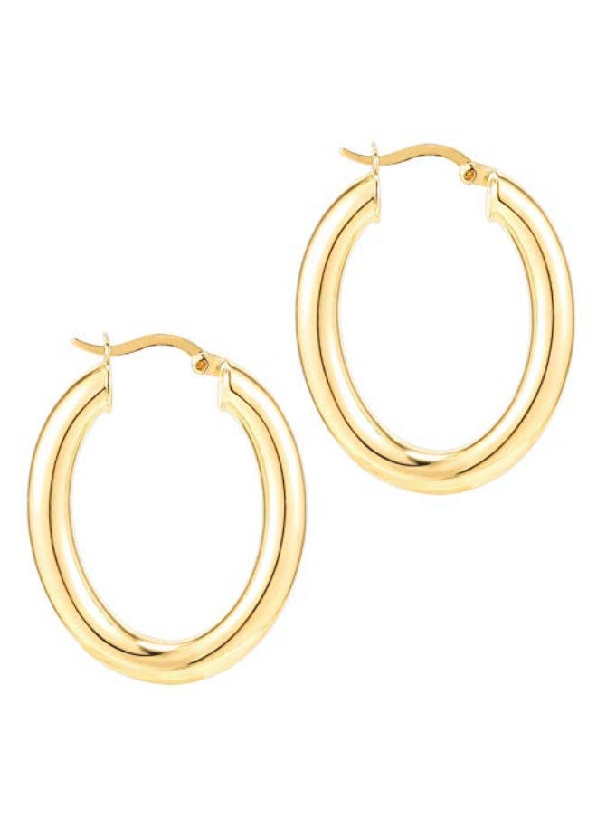 NIBEMINENT - Oval Chunky Hoop Earrings - Image 1