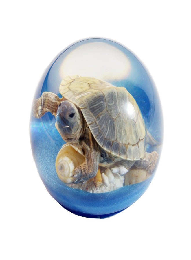 REALBUG Turtle Globe - Image 1