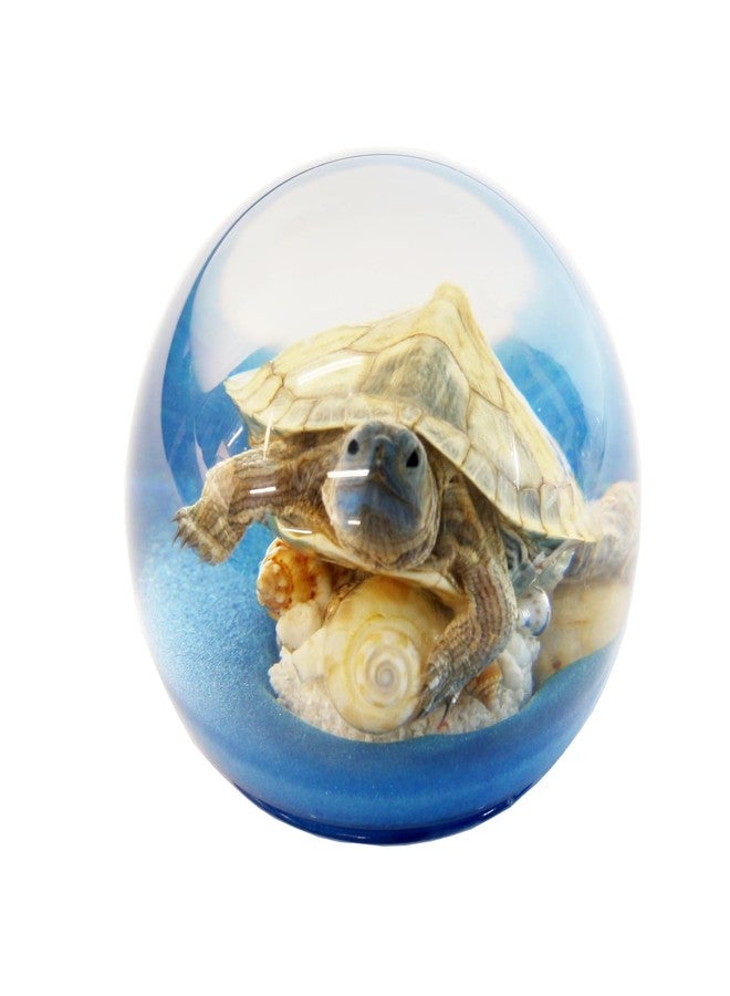 REALBUG Turtle Globe - Image 2