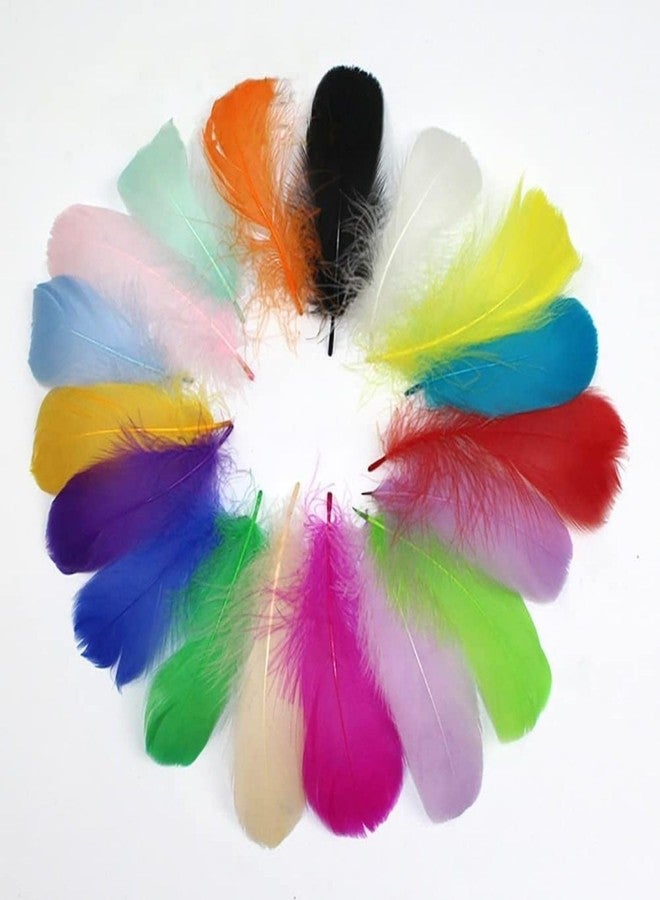 Tdas 270+ Pcs Natural Dyed Feathers for Craft 3-5 inches Arts Fluffy Dream Catcher Making kit for Decoration Projects Earrings Colourful for Kids Handmade Wedding Home (Multicolor) - Image 2