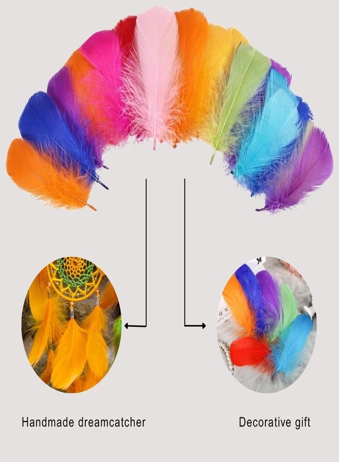 Tdas 270+ Pcs Natural Dyed Feathers for Craft 3-5 inches Arts Fluffy Dream Catcher Making kit for Decoration Projects Earrings Colourful for Kids Handmade Wedding Home (Multicolor) - Image 4