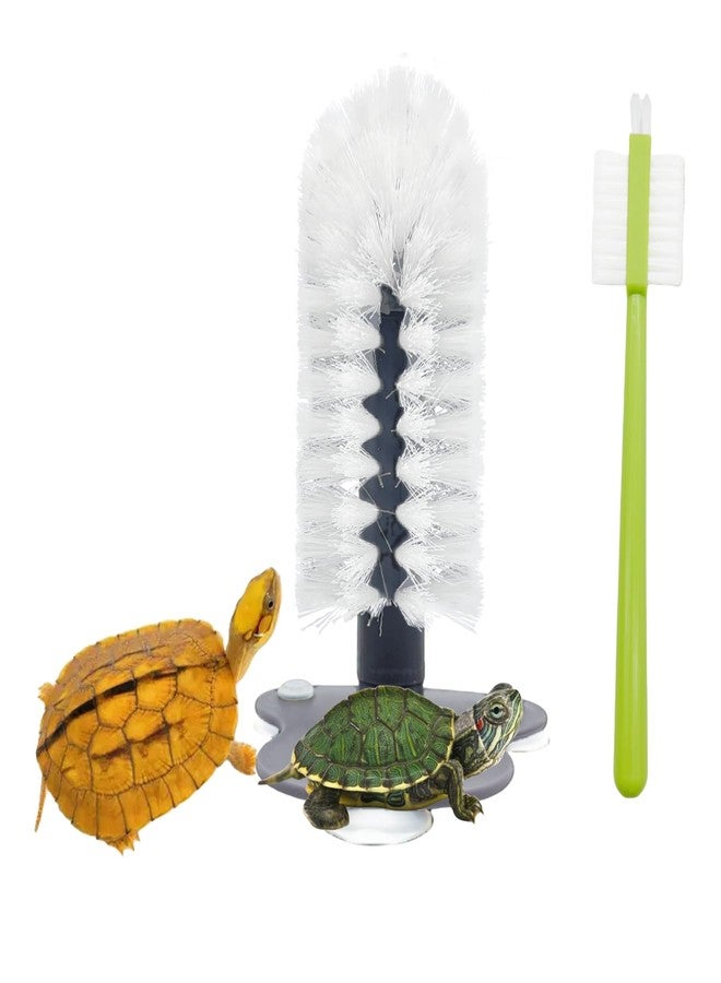 Odebyata Turtle Brush with Strong Suction Cup,Turtle Back Clean Brush to Remove Mud Dirt,Turtle Owners Lovers Accessories for Turtle Tank Turtle Habitat, Turtle Shell Clean Brush Tools - Image 1
