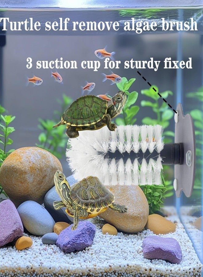 Odebyata Turtle Brush with Strong Suction Cup,Turtle Back Clean Brush to Remove Mud Dirt,Turtle Owners Lovers Accessories for Turtle Tank Turtle Habitat, Turtle Shell Clean Brush Tools - Image 4