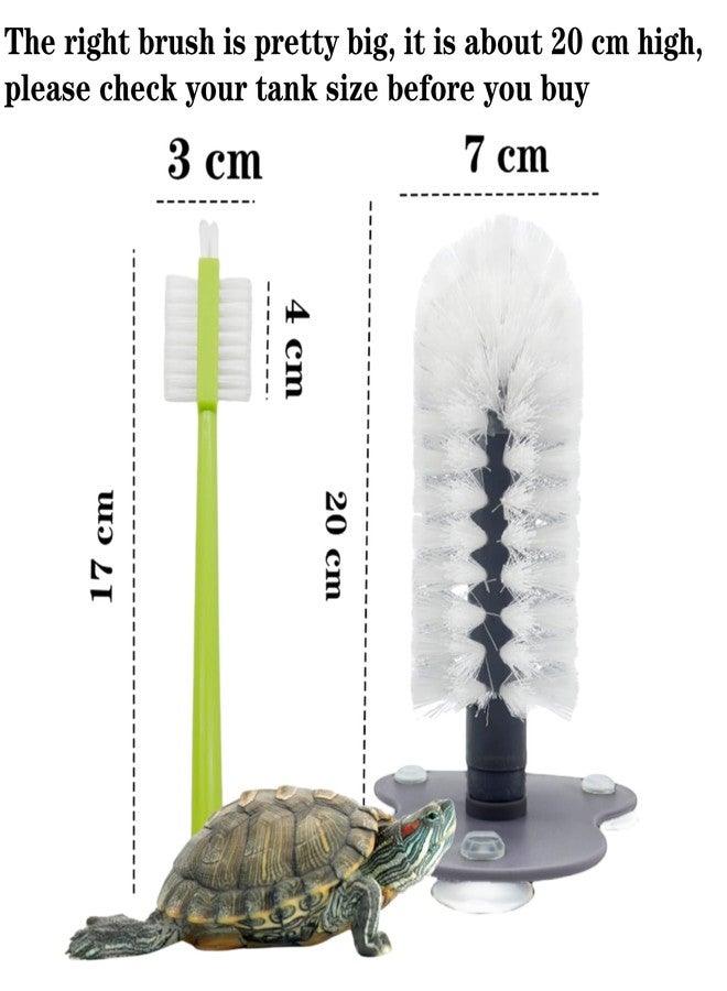 Odebyata Turtle Brush with Strong Suction Cup,Turtle Back Clean Brush to Remove Mud Dirt,Turtle Owners Lovers Accessories for Turtle Tank Turtle Habitat, Turtle Shell Clean Brush Tools - Image 2