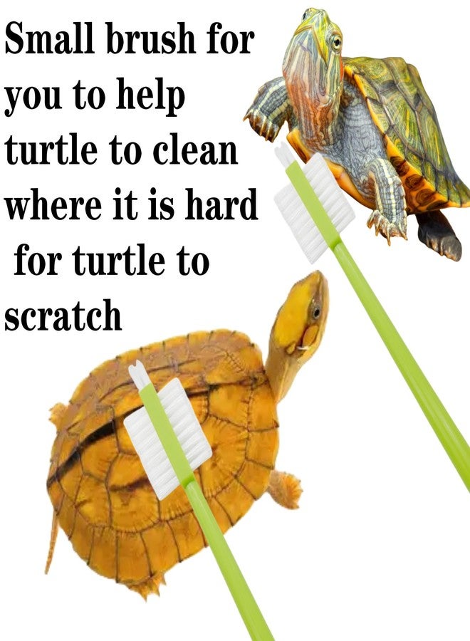 Odebyata Turtle Brush with Strong Suction Cup,Turtle Back Clean Brush to Remove Mud Dirt,Turtle Owners Lovers Accessories for Turtle Tank Turtle Habitat, Turtle Shell Clean Brush Tools - Image 5