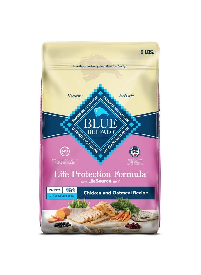 بلو بافلو طعام جاف للكلاب الصغيرة من Life Protection Formula مع حمض الدوكوساهيكسانويك والعناصر الغذائية الحيوية ومضادات الأكسدة، مصنوع من مكونات طبيعية، وصفة الدجاج والشوفان، كيس 5 أرطال - Image 1