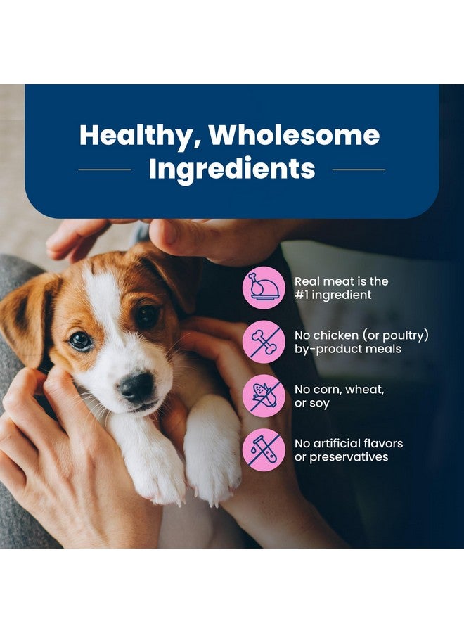بلو بافلو طعام جاف للكلاب الصغيرة من Life Protection Formula مع حمض الدوكوساهيكسانويك والعناصر الغذائية الحيوية ومضادات الأكسدة، مصنوع من مكونات طبيعية، وصفة الدجاج والشوفان، كيس 5 أرطال - Image 5
