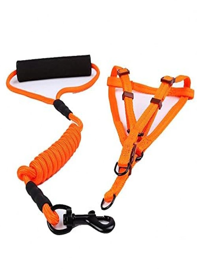 Pets Empire Nylon Harness, Durable Lead Leash Rope with Comfortable Adjustable Foamed Handle (XSsmall -Harness (28-42cm), Black) - Image 3