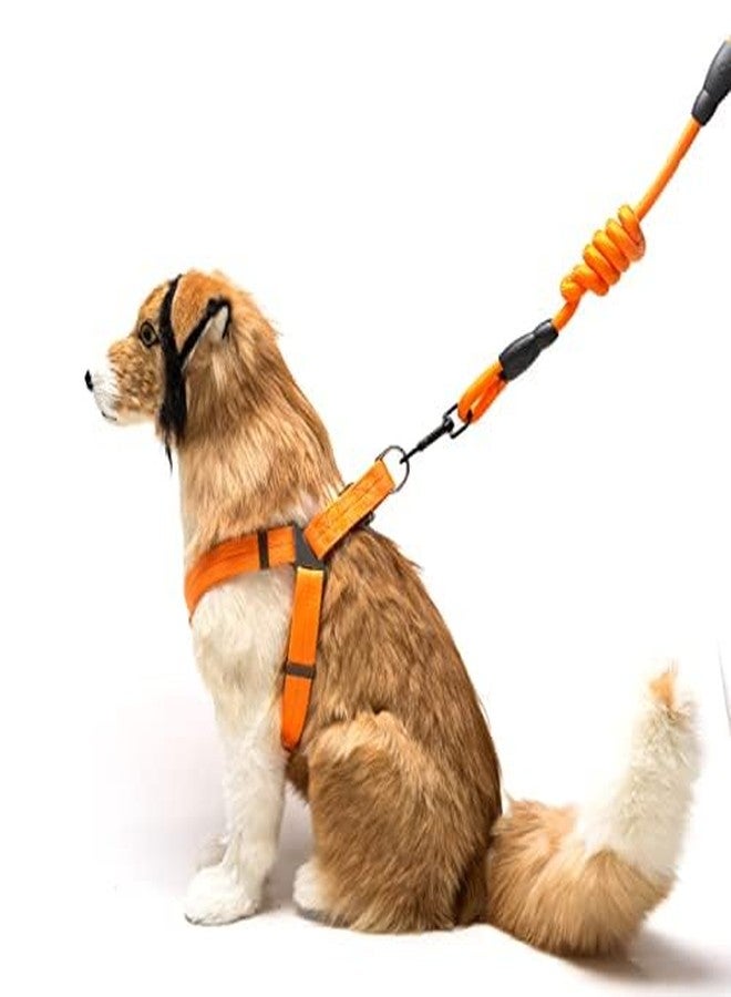 Pets Empire Nylon Harness, Durable Lead Leash Rope with Comfortable Adjustable Foamed Handle (XSsmall -Harness (28-42cm), Black) - Image 5
