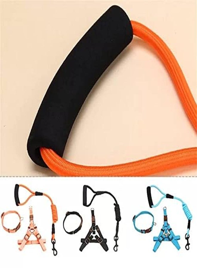 Pets Empire Nylon Harness, Durable Lead Leash Rope with Comfortable Adjustable Foamed Handle (XSsmall -Harness (28-42cm), Black) - Image 4