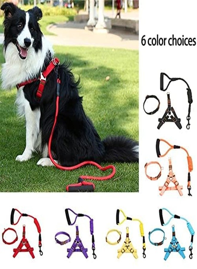 Pets Empire Nylon Harness, Durable Lead Leash Rope with Comfortable Adjustable Foamed Handle (XSsmall -Harness (28-42cm), Black) - Image 2