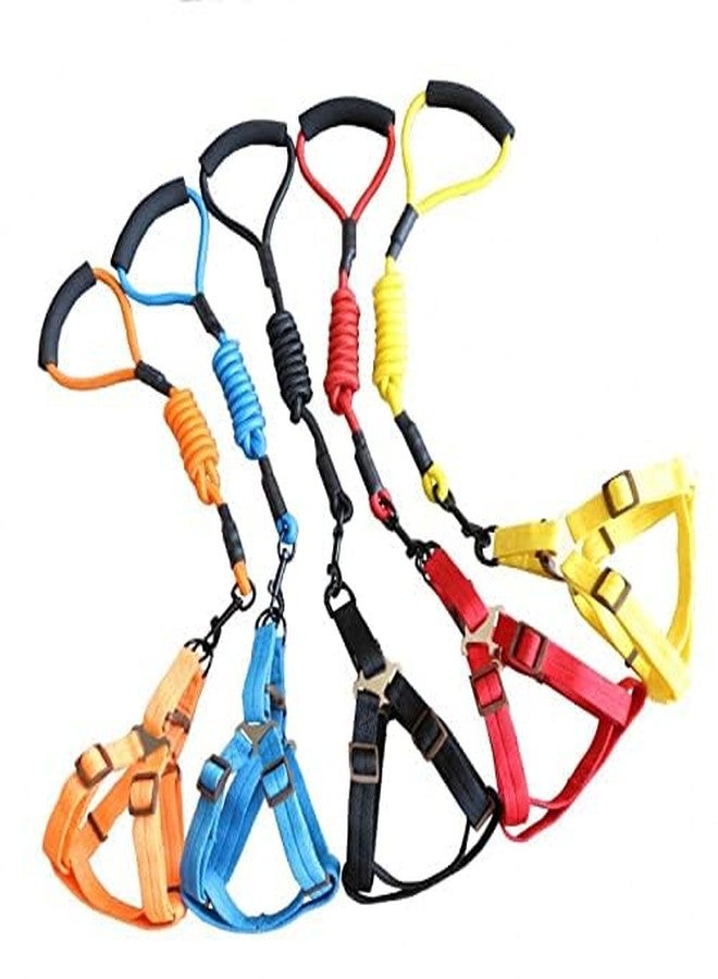 Pets Empire Nylon Harness, Durable Lead Leash Rope with Comfortable Adjustable Foamed Handle (XSsmall -Harness (28-42cm), Black) - Image 1