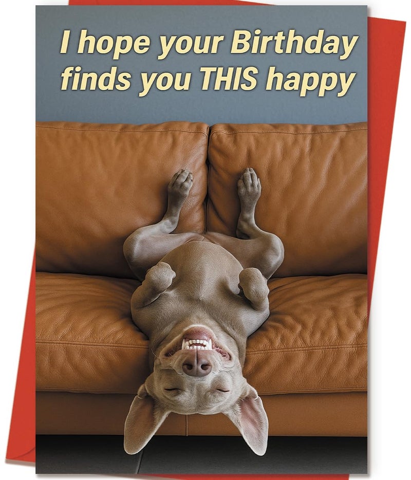 ICOOLYI Funny Birthday Card and Gift for Men or Women â€“ Hilarious and Lighthearted Decorative Design â€“ Perfect for Friends, Family, Coworkers, Him or Her - Image 1